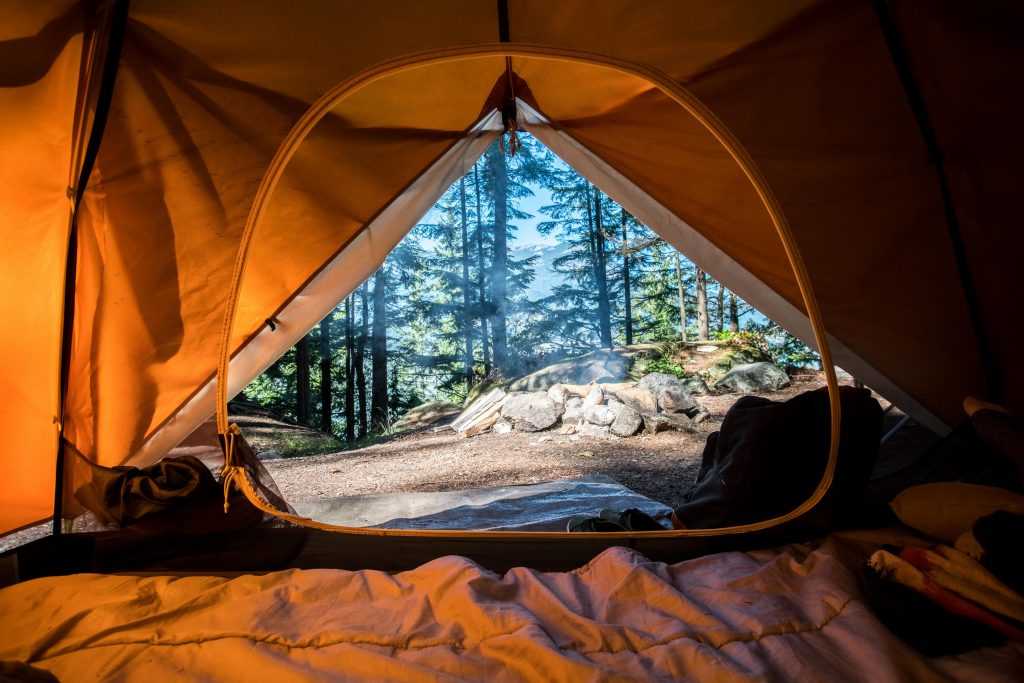 view from inside a tent looking out over a campsite
