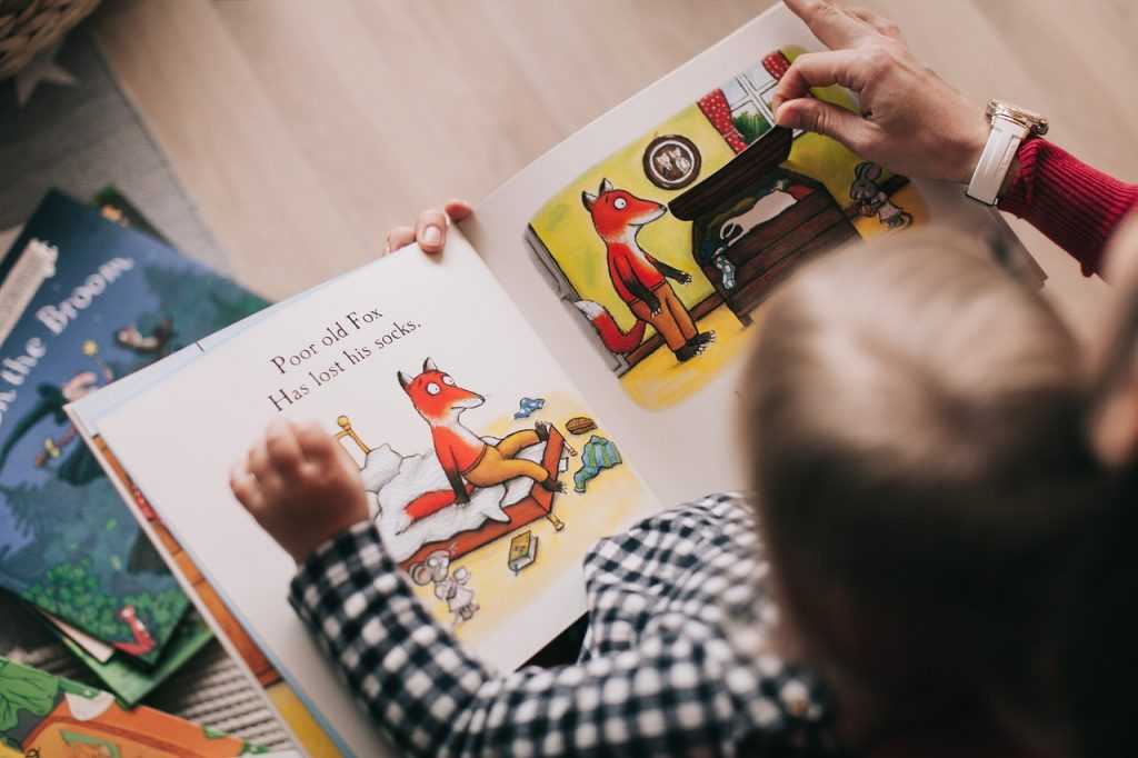 small child looking at a picture book