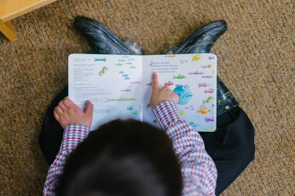 child looking at a book