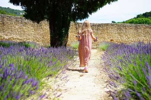 woman walking in lavender field