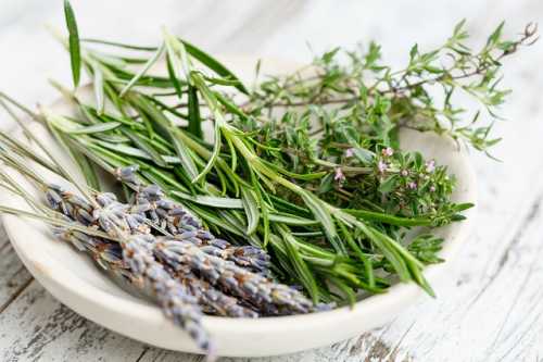 plate of herbs